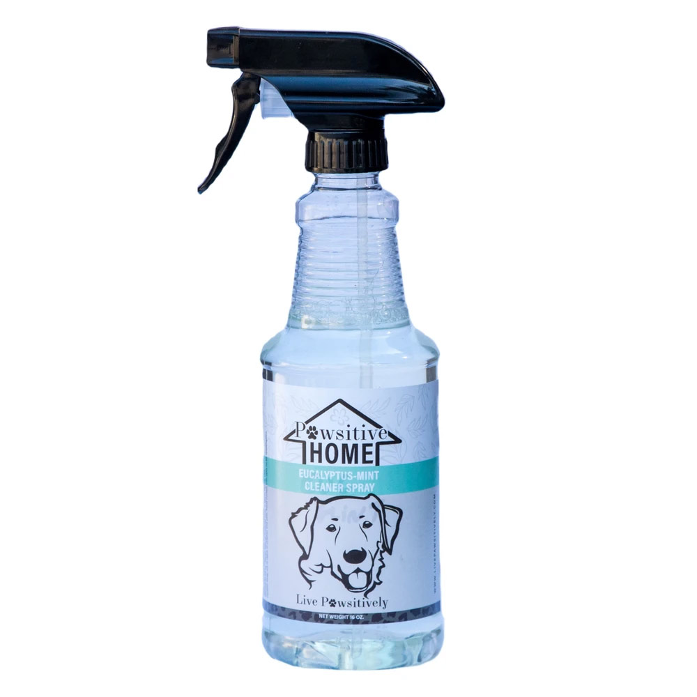 EucalyptusMint All Purpose Cleaner Spray, 16oz. Spray Bottle