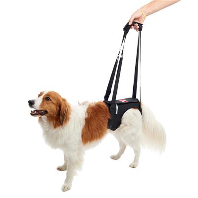 KRUUSE Rehab Lifting Harness for Dogs, Hind Legs