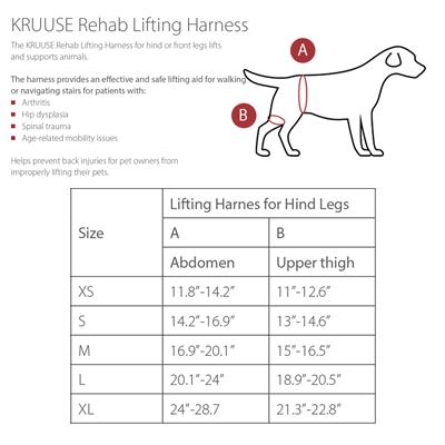 KRUUSE Rehab Lifting Harness for Dogs, Hind Legs