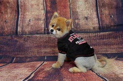 Atlanta Falcons Dog Tee Shirt by Pets First