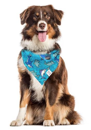 Nautical Bandana | Shark Bandana | Summer Bandana | Beach Bandana | Boating Bandana | Shark Week