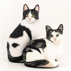 Extra Product Image