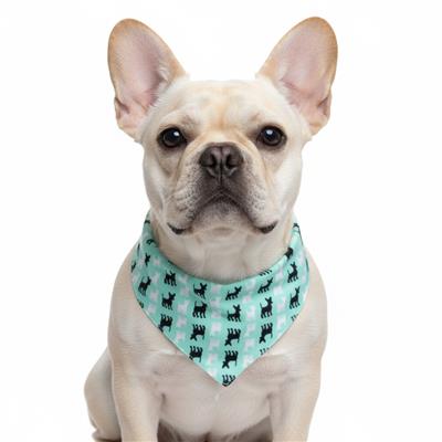 DOGO Bandana Dog