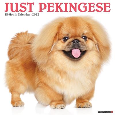 Pekingese 2022 Wall Calendar
