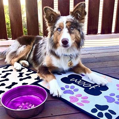 Loving Pets Bella Fashion Mat for Dogs, Woof with Multi Paws