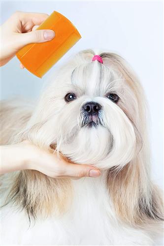Pet Flea Combs