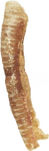 12" Bulk Trachea Tube