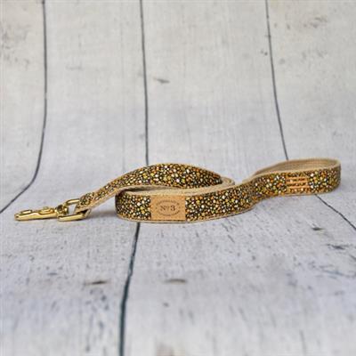 Marigold Collar & Lead