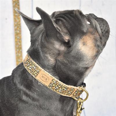 Marigold Collar & Lead