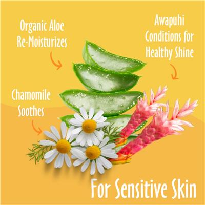 Earthbath Hypo-Allergenic Grooming Wipes; Fragrance Free 100Ct