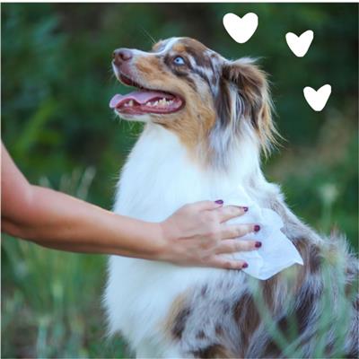 Earthbath Hypo-Allergenic Grooming Wipes; Fragrance Free 100Ct