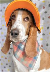 Plaid Bandana, Fall Bandana,  Winter Bandana, High Quality Luxe Fabric, Peach, Blue, Dog Bandana