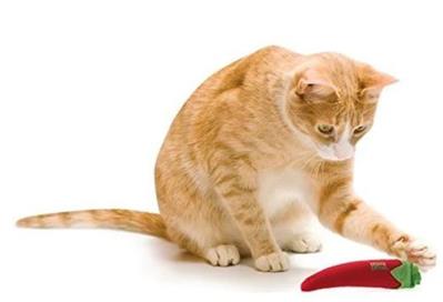 Mad Cat® Hot Peppurr 100% Filled Catnip Cat Toy