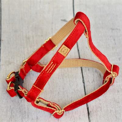 Red Velvet 1 inch and 3/4 Collar, Lead and Harness