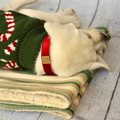 Laurel Stripe Blanket Bed