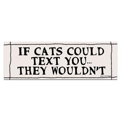 If Cats could text -  Bumper Magnets