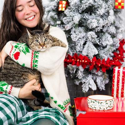 "Merry Catmas" Cat Bowl