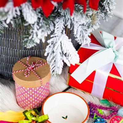 "Merry Catmas" Cat Bowl