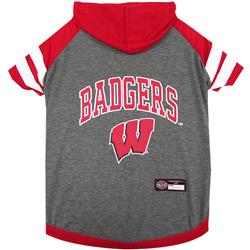 Wisconsin Hoodie Tee Shirt