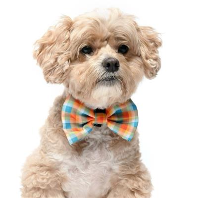 ORANGE AND TEAL - Velcro Bow Tie
