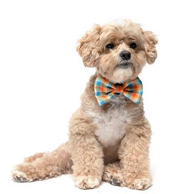 ORANGE AND TEAL - Velcro Bow Tie