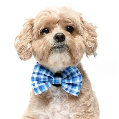 BLUE PLAID - Velcro Bow Tie