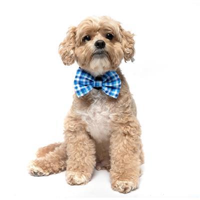 BLUE PLAID - Velcro Bow Tie