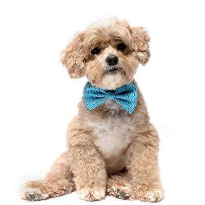 LIGHTENING BOLTS - Velcro Bow Tie