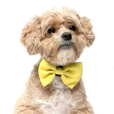 YELLOW - Velcro Bow Tie