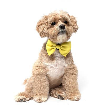 YELLOW - Velcro Bow Tie