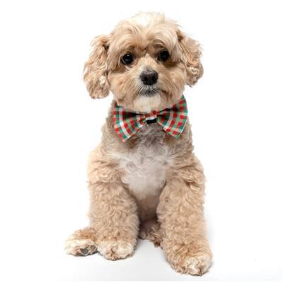 HOLIDAY PLAID - Velcro Bow Tie