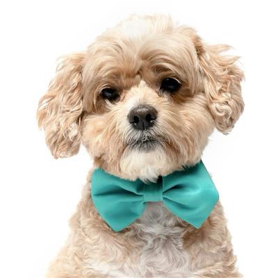 GREEN - Velcro Bow Tie