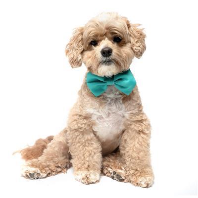 GREEN - Velcro Bow Tie