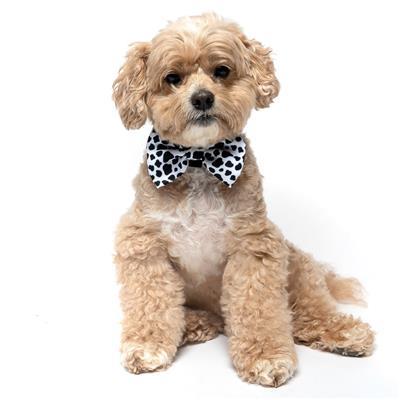 MOO - Velcro Bow Tie
