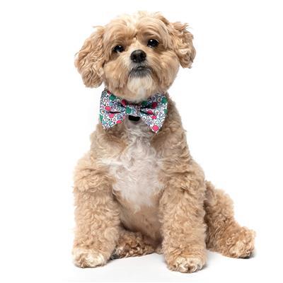 LUCKY CHARMS - Velcro Bow Tie