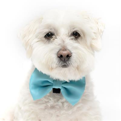TEAL - Velcro Bow Tie