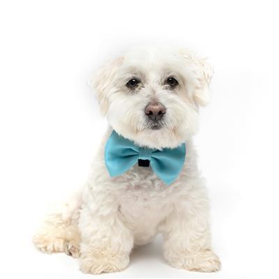 TEAL - Velcro Bow Tie
