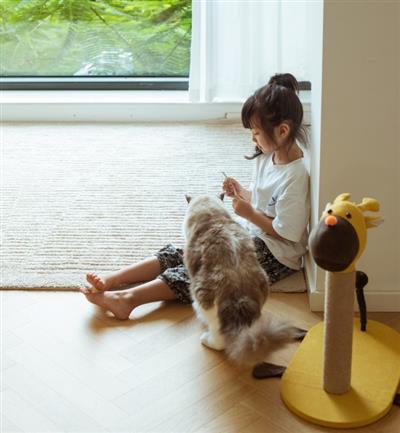 Catry Cartoon Giraffe Cat Scratching Post - A 19" Cat Furniture, Model-CT210236