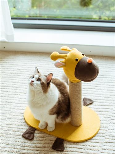 Catry Cartoon Giraffe Cat Scratching Post - A 19" Cat Furniture, Model-CT210236