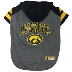 Iowa Hoodie Tee Shirt