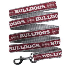 Mississippi State Leash