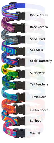 LupinePet® 1/2" Originals EZ pack (6 pc. collars and leashes)