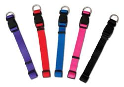 Aspen Basic Nylon Adjustable Dog Collar Red 1ea/3/8 In X 8-14 in, Small