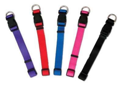 Aspen Basic Nylon Adjustable Dog Collar Red 1ea/3/8 In X 8-14 in, Small