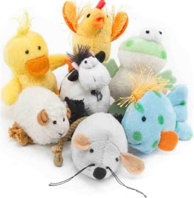 Multipet Look Who's Talking for Cats 40 Pcs Display