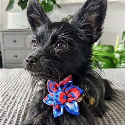 American Tie Dye Pinwheel