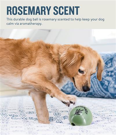Orbee Essentials Rosemary Scented Ball Green by Planet Dog