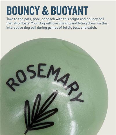Orbee Essentials Rosemary Scented Ball Green by Planet Dog