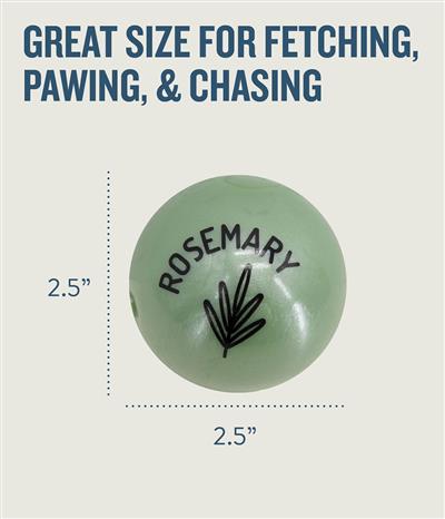 Orbee Essentials Rosemary Scented Ball Green by Planet Dog