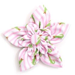Pink Stripe Alligators Flower